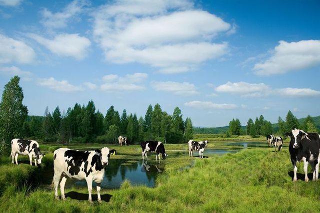 0ed65096-4fc7-4d7f-9e16-82e0bac7ad211673183181918