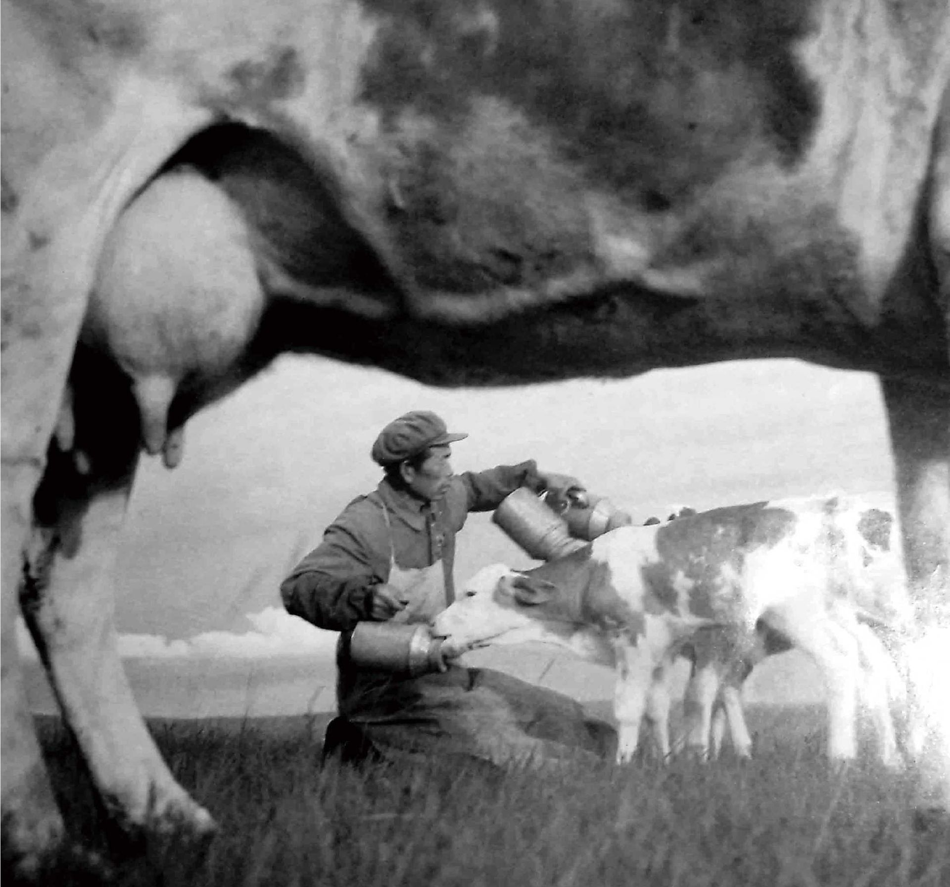 thumbnail.da30444f-b0a6-4f35-80ae-d5c666770bc41676614517708