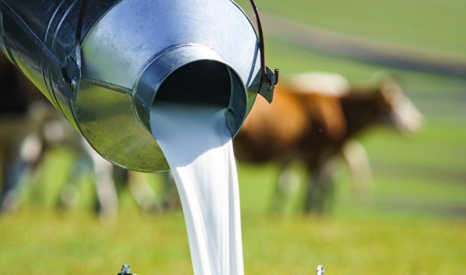 d303e9ba-ab2e-44e0-b109-62b108773d641679576033972