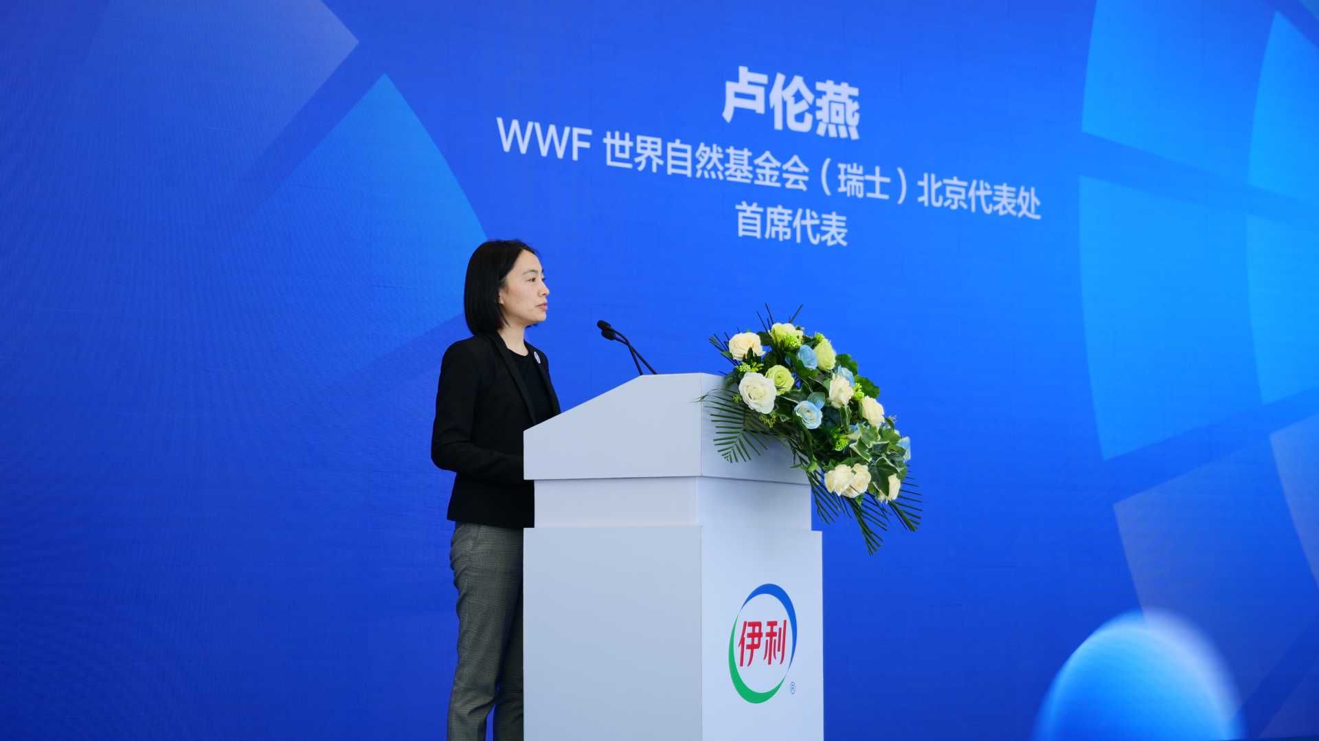 thumbnail.ddb17804-842c-4a0e-bffb-28201d5b134d1684824700066