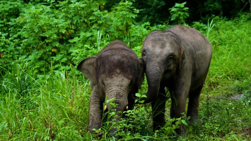 defa1e47-0b5f-4e42-aba2-e4a6d63b4ab01740713679627